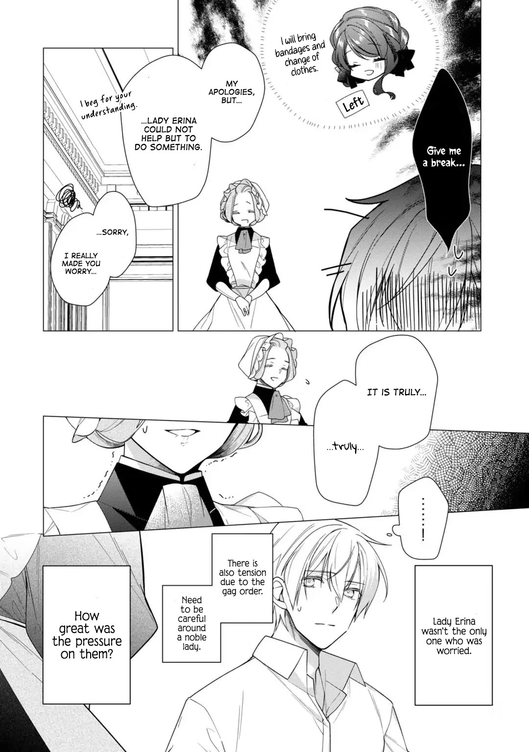 The Rubelia Kingdom's Tale ~ I Ended Up Cleaning My Younger Cousin's Mess ~ Chapter 10 page 19 - Chapter 10: The Prince's Thoughts