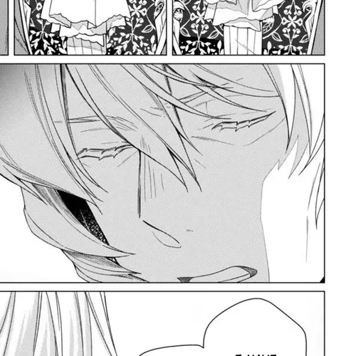 The Rubelia Kingdom's Tale ~ I Ended Up Cleaning My Younger Cousin's Mess ~ Chapter 10: The Prince's Thoughts cover