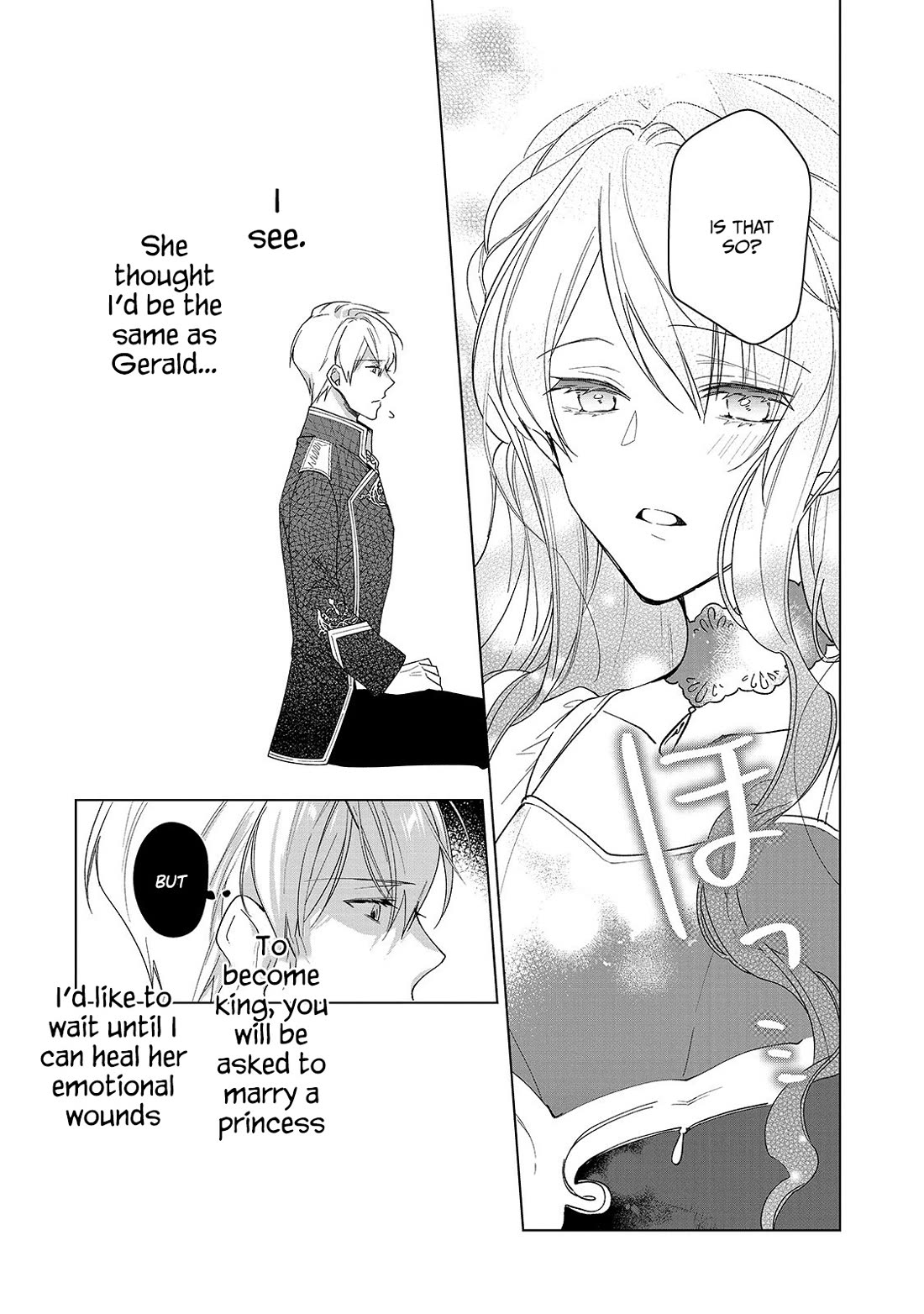 The Rubelia Kingdom's Tale ~ I Ended Up Cleaning My Younger Cousin's Mess ~ Chapter 2 page 15 - Chapter 2