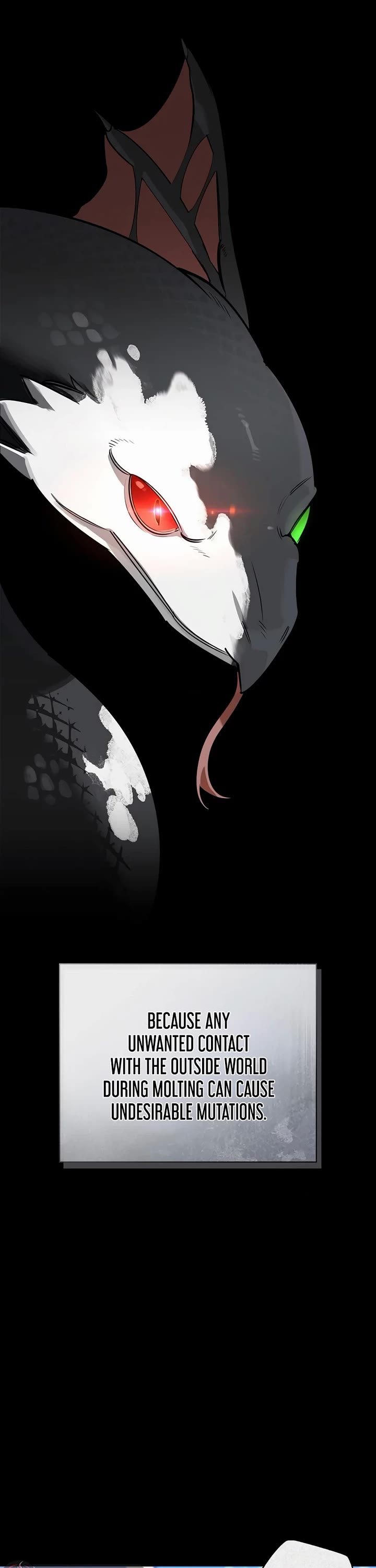The S-Rank Hunter's Healing Life with Monsters Chapter 29 page 28 - Chapter 29