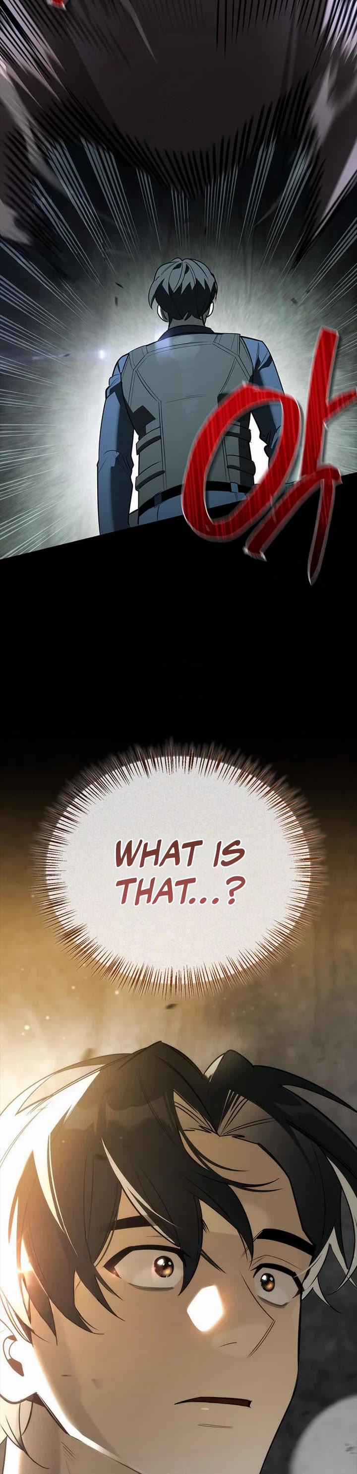 The S-Rank Hunter's Healing Life with Monsters Chapter 31 page 63 - Chapter 31