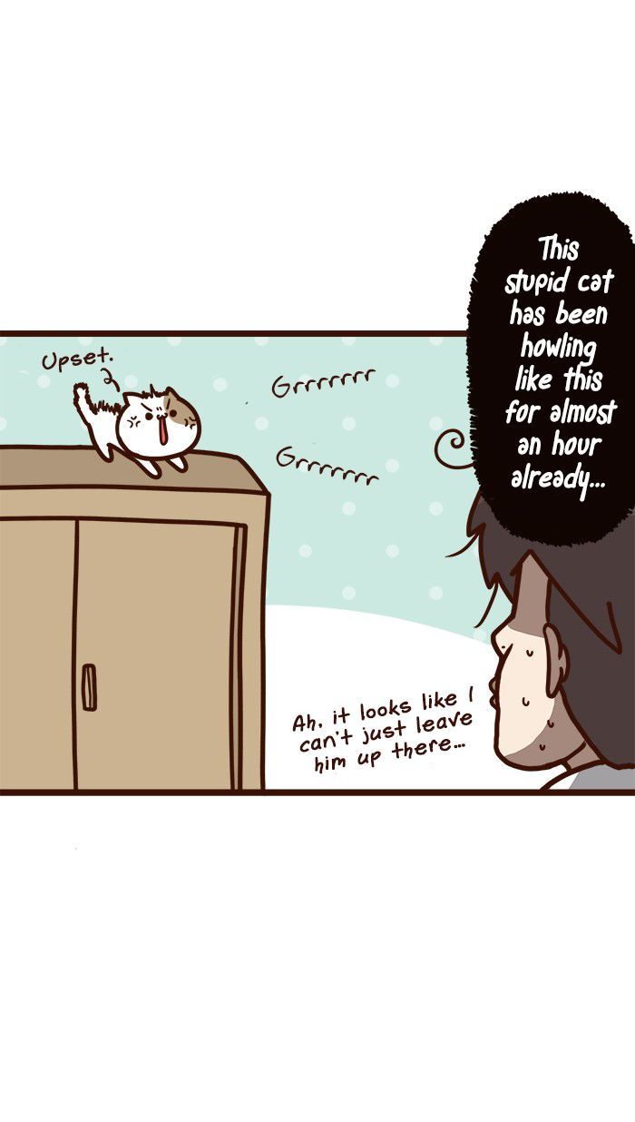 The Salary Man & Tofu the Funny Cat Chapter 10 page 11 - Chapter 10 : Mr. Shatid is coming!