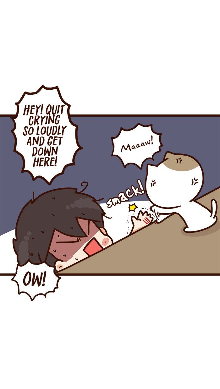 The Salary Man & Tofu the Funny Cat Chapter 10 page 12 - Chapter 10 : Mr. Shatid is coming!