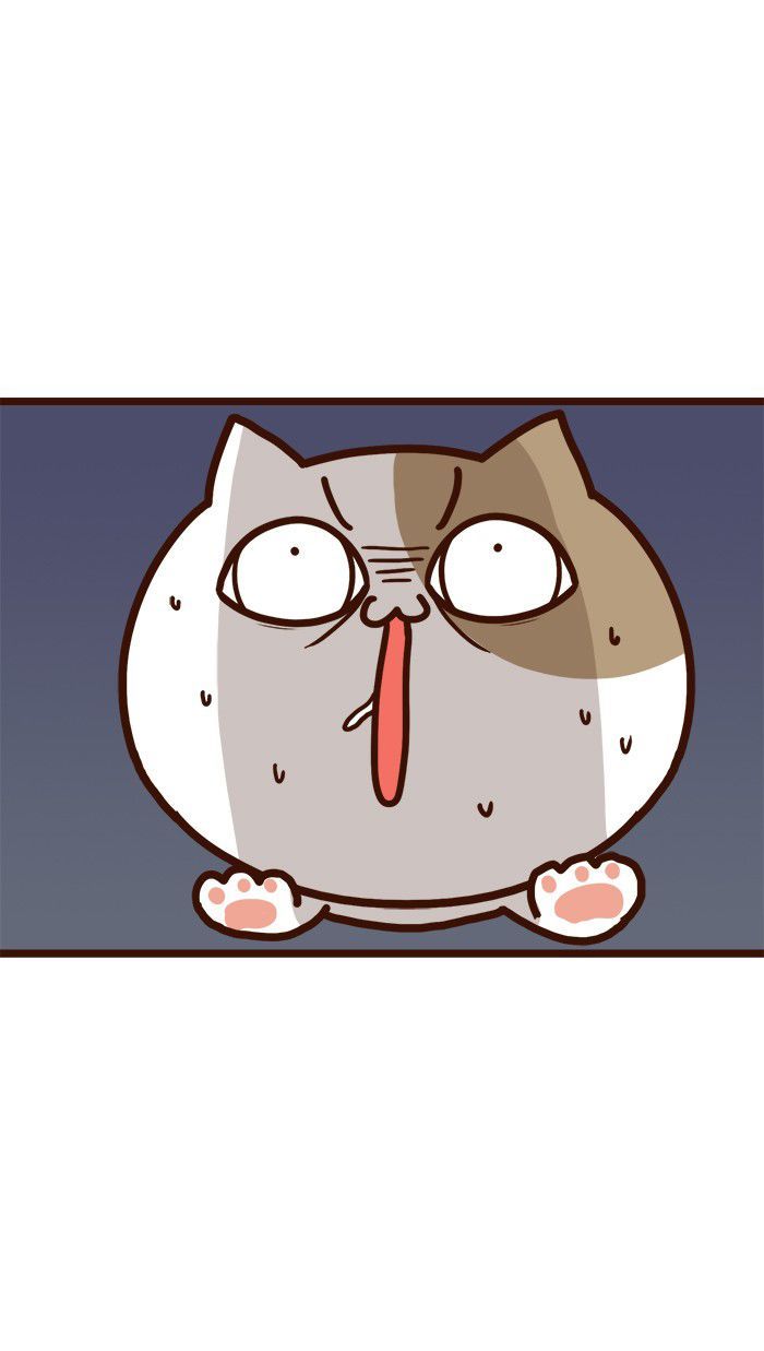 The Salary Man & Tofu the Funny Cat Chapter 10 page 37 - Chapter 10 : Mr. Shatid is coming!