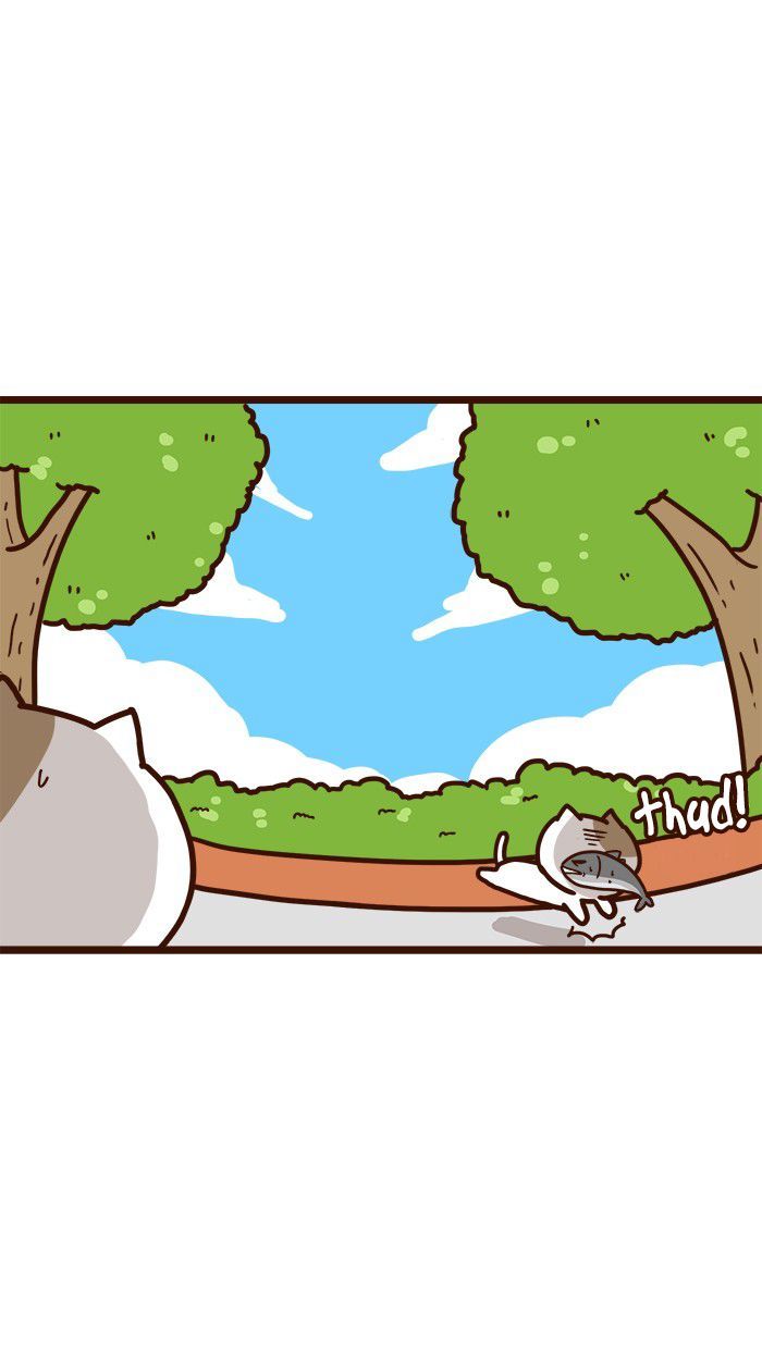 The Salary Man & Tofu the Funny Cat Chapter 10 page 39 - Chapter 10 : Mr. Shatid is coming!