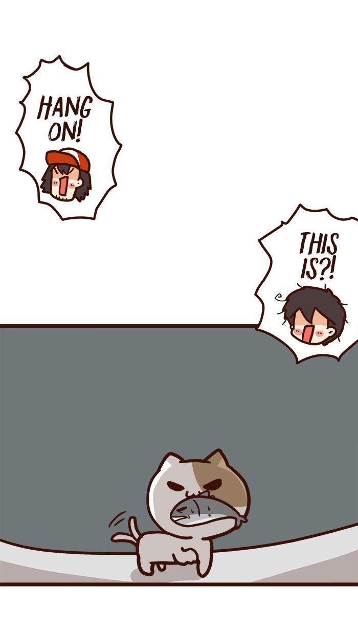 The Salary Man & Tofu the Funny Cat Chapter 10 page 40 - Chapter 10 : Mr. Shatid is coming!