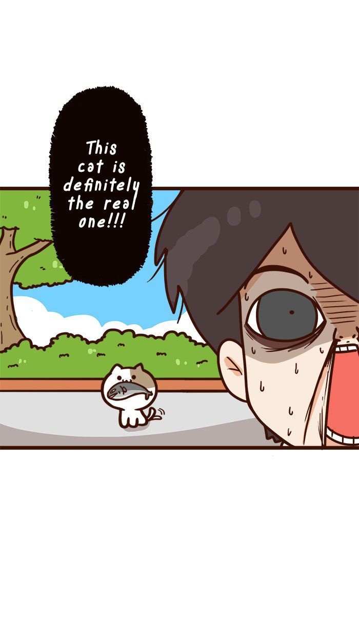 The Salary Man & Tofu the Funny Cat Chapter 11 page 11 - Chapter 11 : Which one is it?!