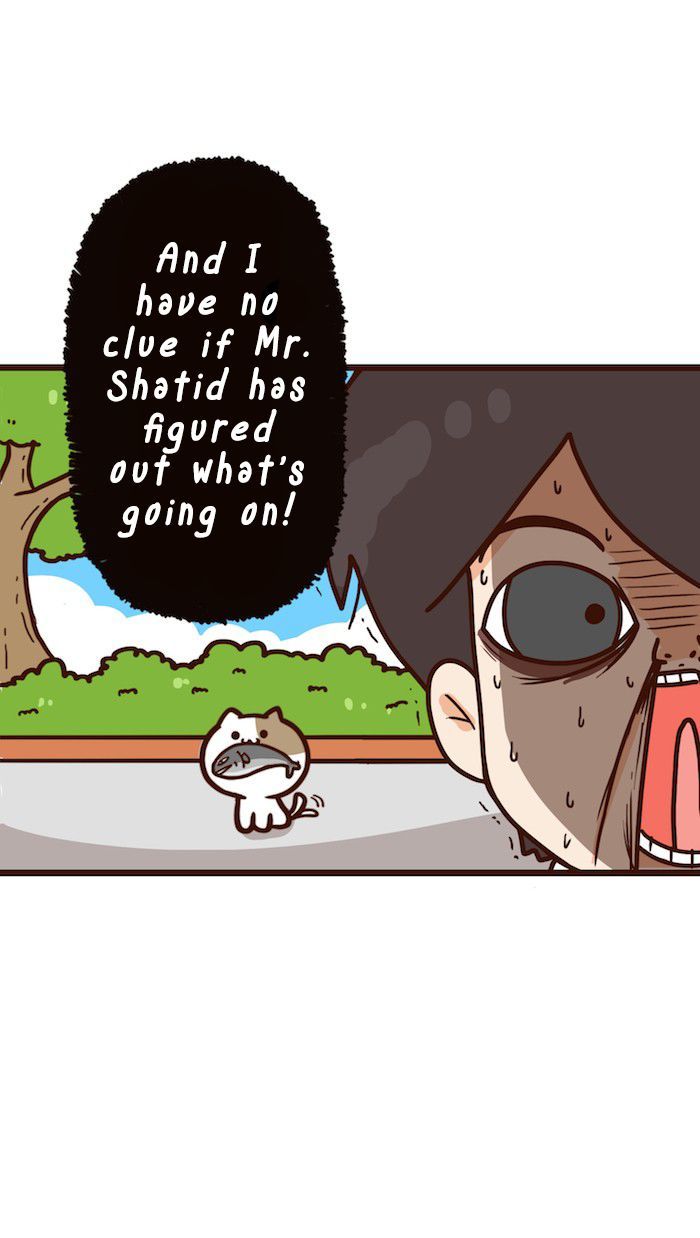 The Salary Man & Tofu the Funny Cat Chapter 11 page 12 - Chapter 11 : Which one is it?!