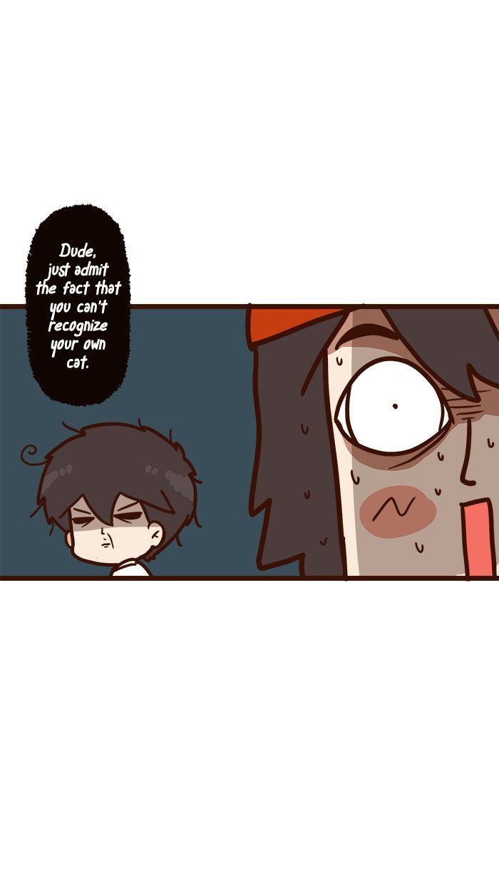 The Salary Man & Tofu the Funny Cat Chapter 11 page 24 - Chapter 11 : Which one is it?!