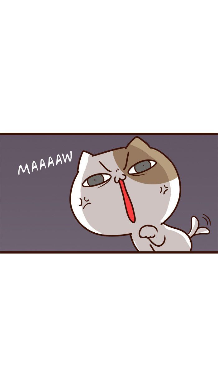 The Salary Man & Tofu the Funny Cat Chapter 11 page 25 - Chapter 11 : Which one is it?!