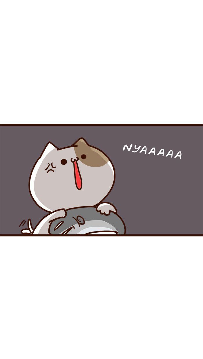The Salary Man & Tofu the Funny Cat Chapter 11 page 26 - Chapter 11 : Which one is it?!