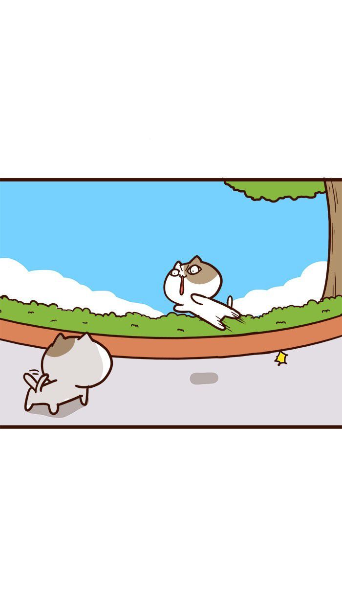 The Salary Man & Tofu the Funny Cat Chapter 11 page 27 - Chapter 11 : Which one is it?!