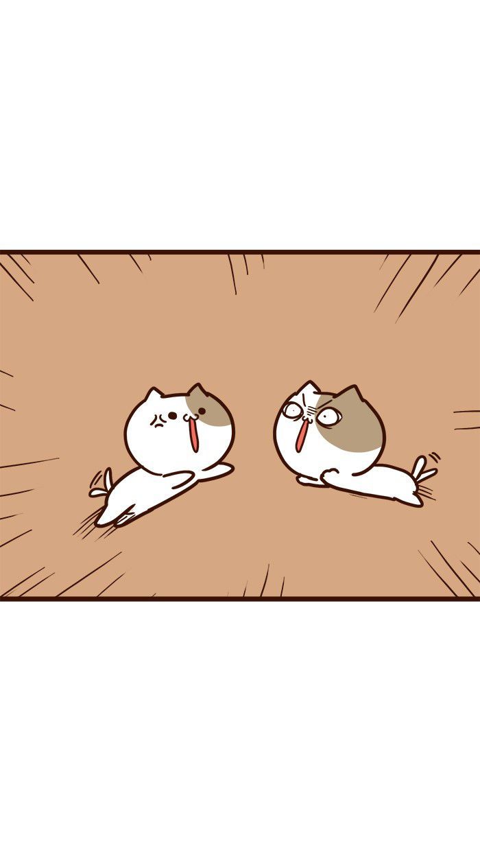 The Salary Man & Tofu the Funny Cat Chapter 11 page 28 - Chapter 11 : Which one is it?!