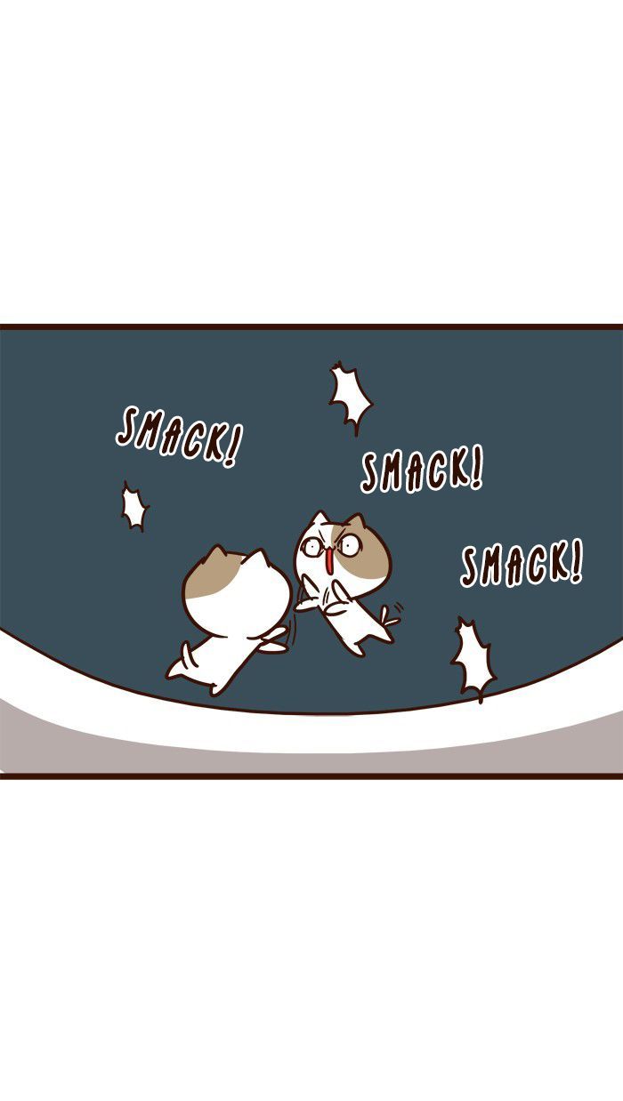 The Salary Man & Tofu the Funny Cat Chapter 11 page 29 - Chapter 11 : Which one is it?!