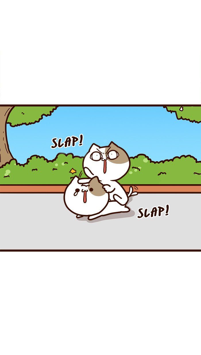 The Salary Man & Tofu the Funny Cat Chapter 11 page 30 - Chapter 11 : Which one is it?!