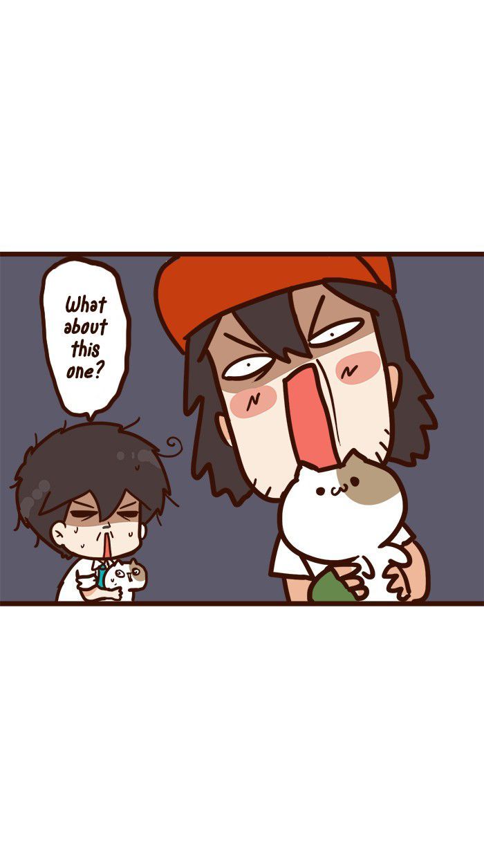 The Salary Man & Tofu the Funny Cat Chapter 11 page 35 - Chapter 11 : Which one is it?!