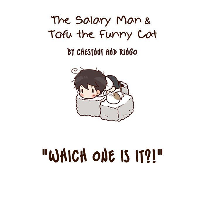 The Salary Man & Tofu the Funny Cat Chapter 11 page 4 - Chapter 11 : Which one is it?!