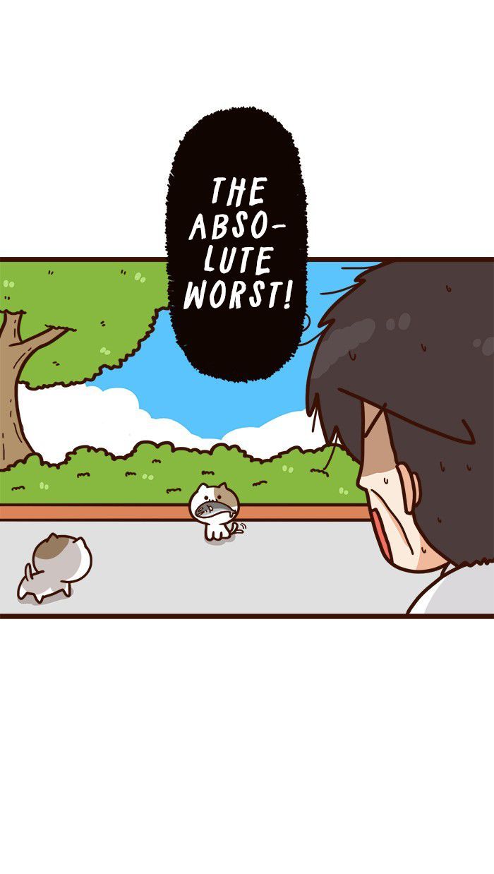 The Salary Man & Tofu the Funny Cat Chapter 11 page 8 - Chapter 11 : Which one is it?!
