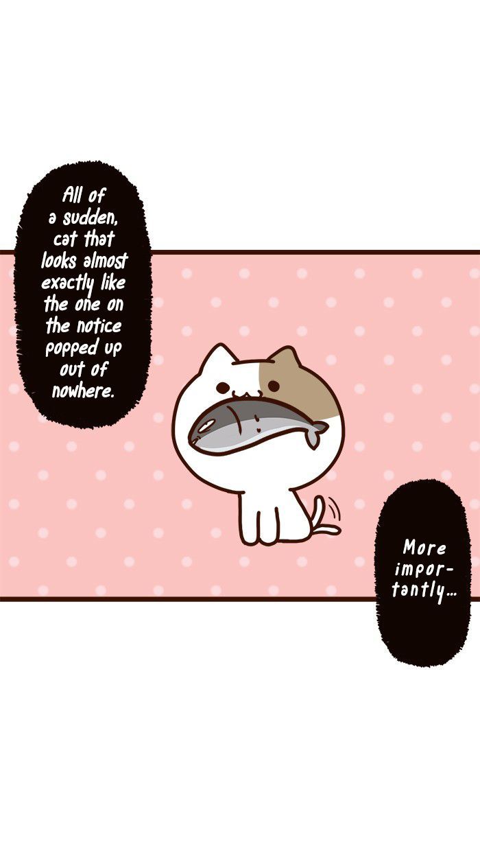 The Salary Man & Tofu the Funny Cat Chapter 11 page 9 - Chapter 11 : Which one is it?!