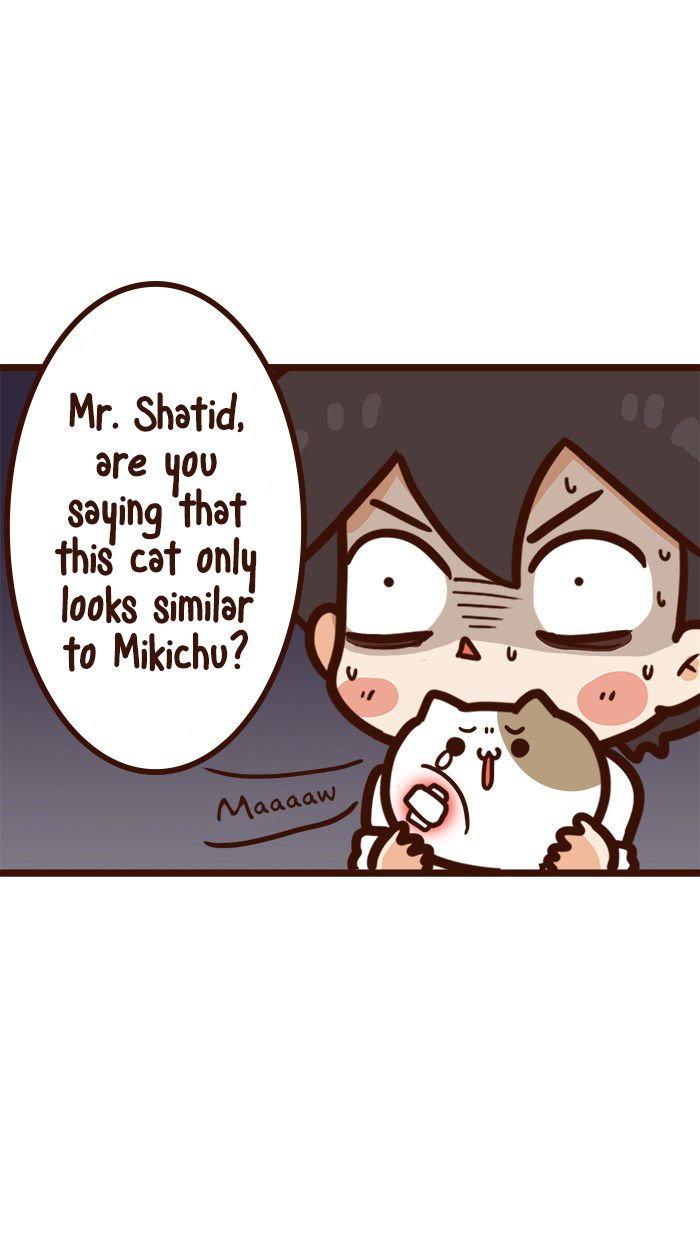 The Salary Man & Tofu the Funny Cat Chapter 12 page 6 - Chapter 12 : Friendship