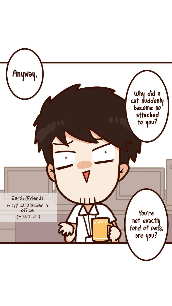 The Salary Man & Tofu the Funny Cat Chapter 13 page 17 - Chapter 13 : Advice