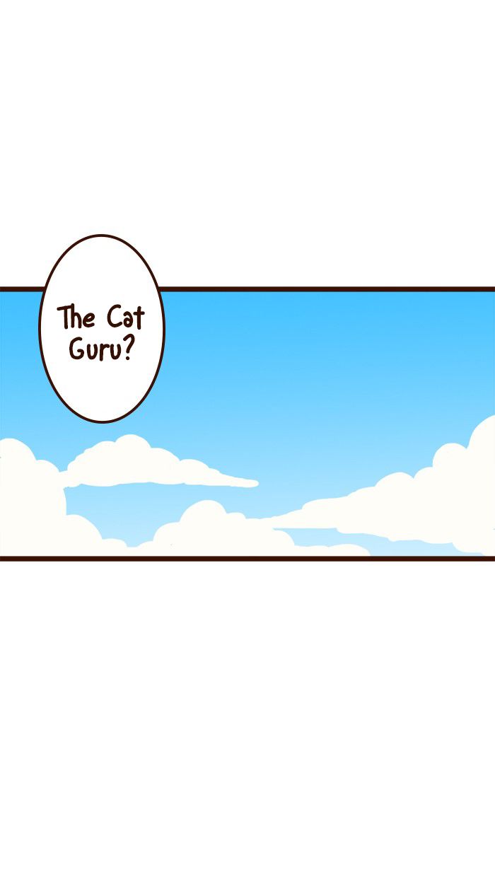The Salary Man & Tofu the Funny Cat Chapter 14 page 4 - Chapter 14 : Cat's Curse