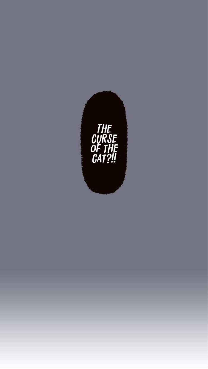 The Salary Man & Tofu the Funny Cat Chapter 15 page 11 - Chapter 15: Curse? Nonsense!