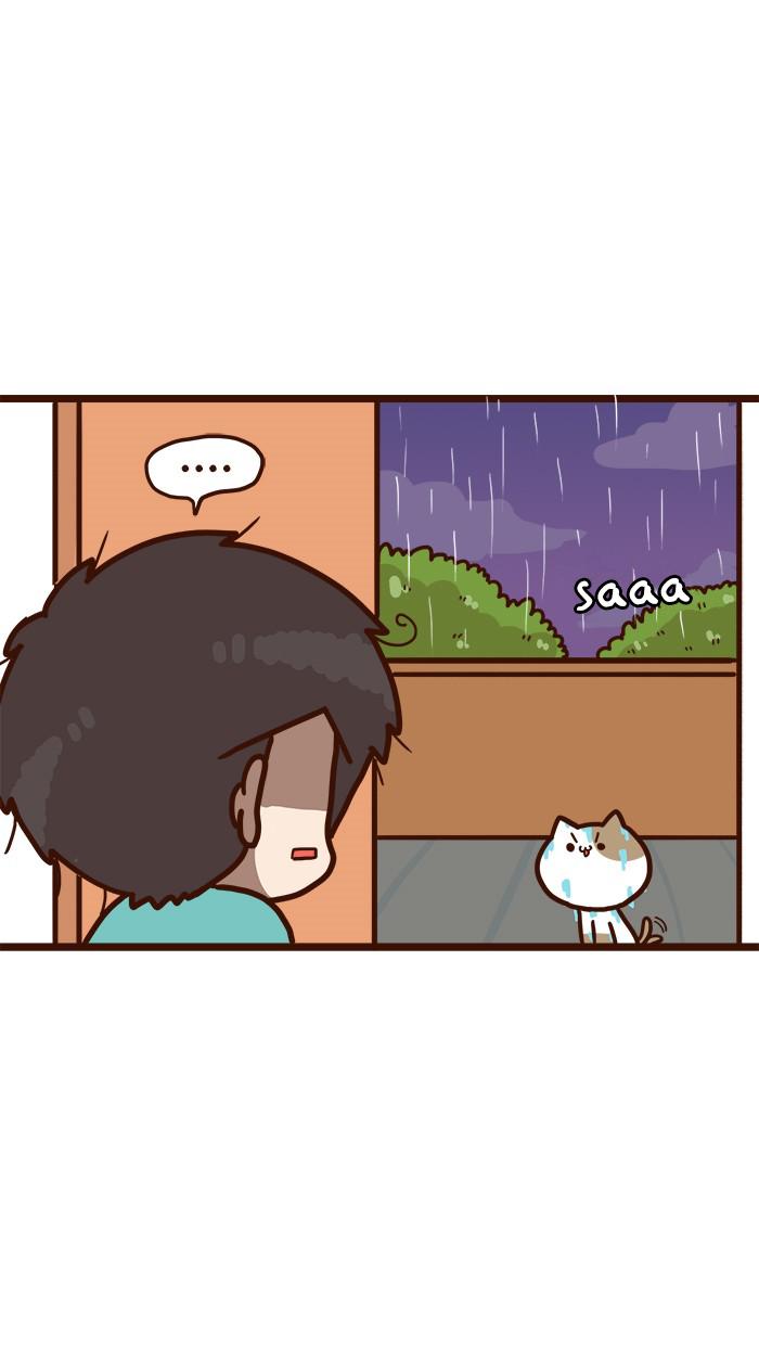 The Salary Man & Tofu the Funny Cat Chapter 15 page 20 - Chapter 15: Curse? Nonsense!