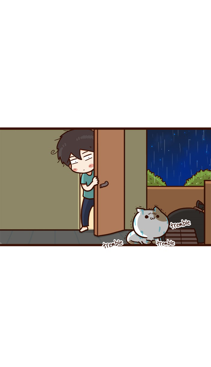 The Salary Man & Tofu the Funny Cat Chapter 15 page 34 - Chapter 15: Curse? Nonsense!