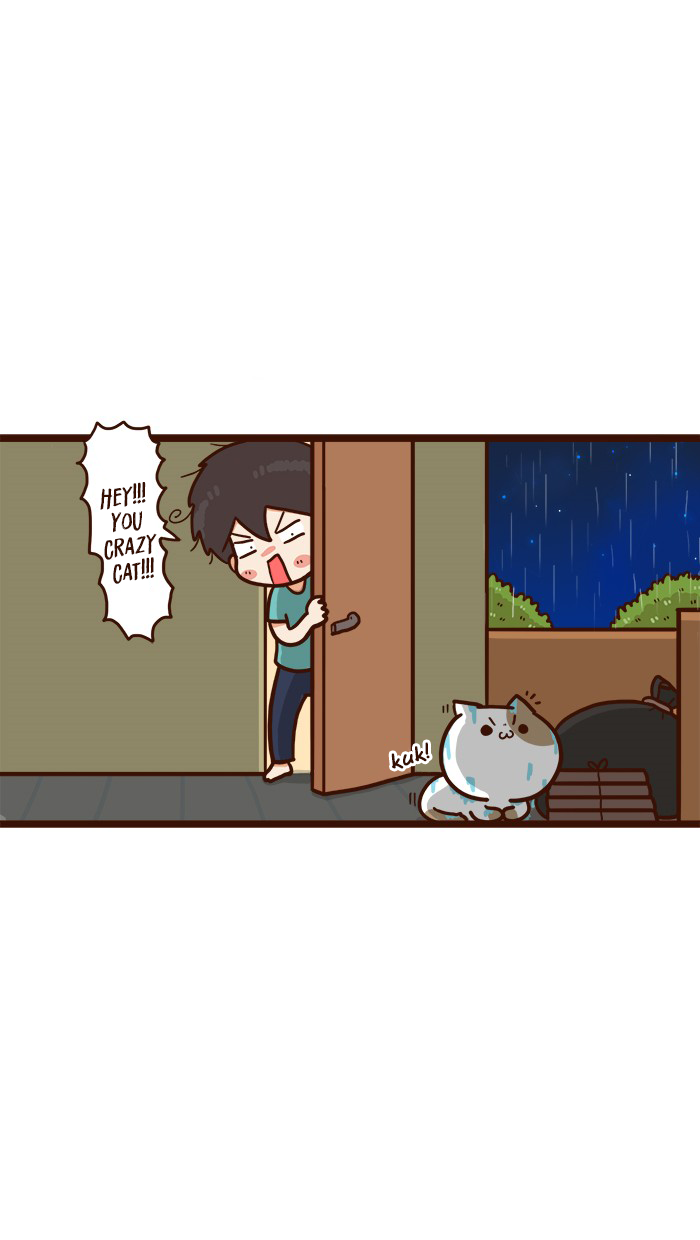 The Salary Man & Tofu the Funny Cat Chapter 15 page 38 - Chapter 15: Curse? Nonsense!