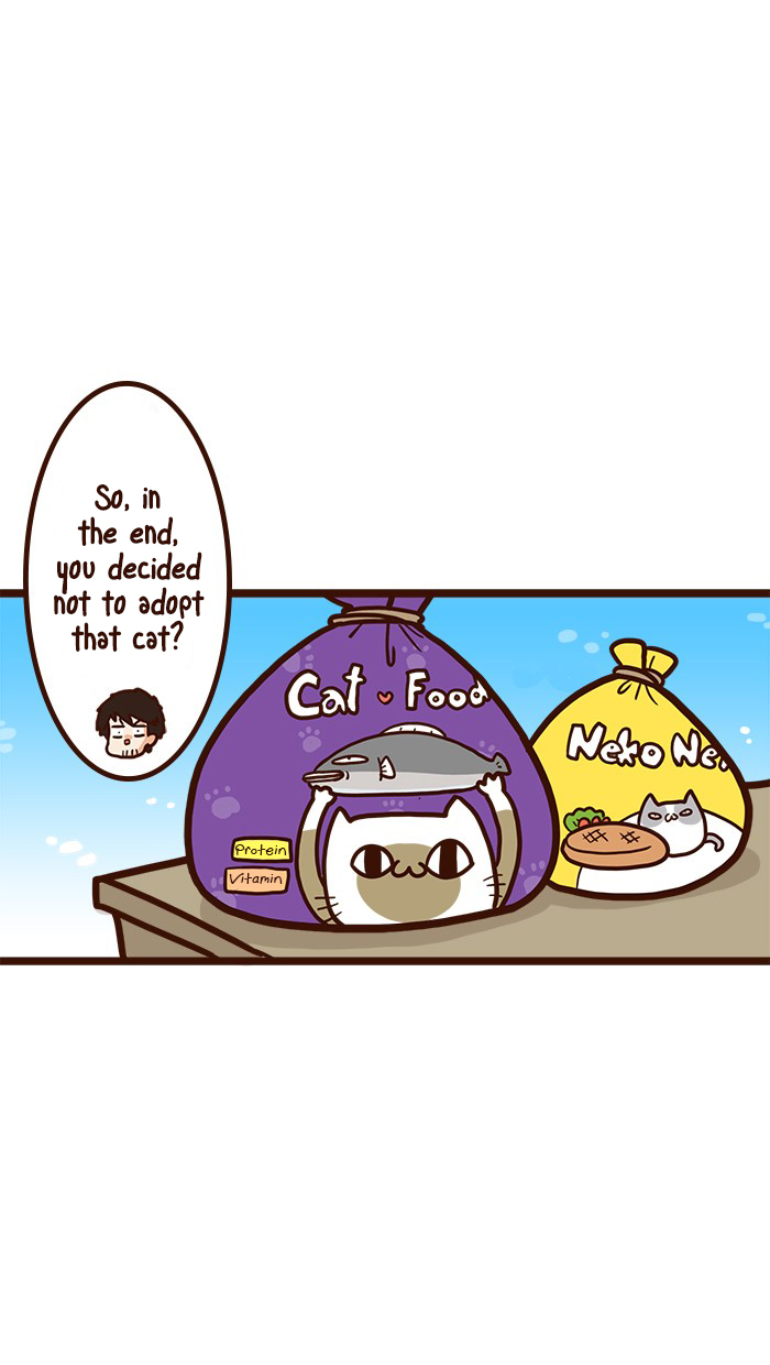 The Salary Man & Tofu the Funny Cat Chapter 16 page 11 - Chapter 16: Cat Food