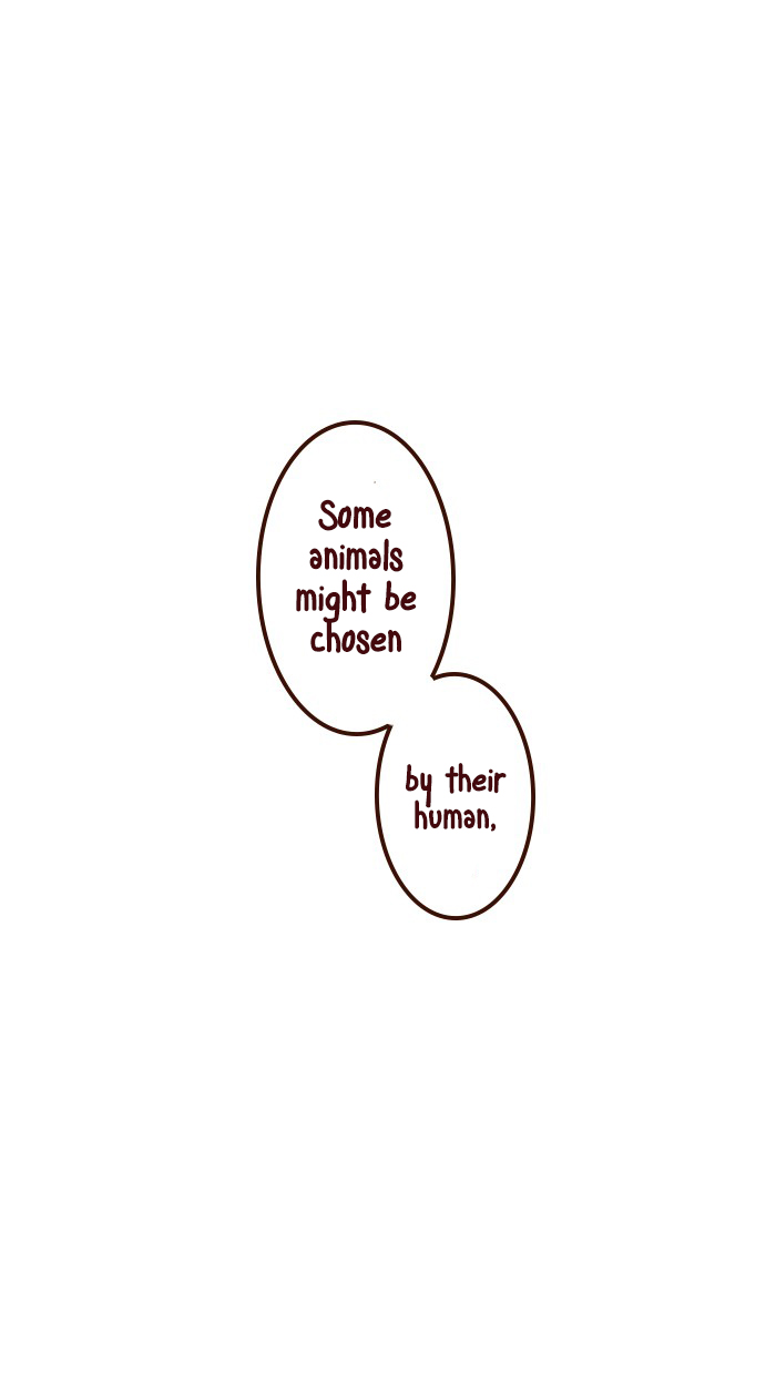 The Salary Man & Tofu the Funny Cat Chapter 16 page 19 - Chapter 16: Cat Food