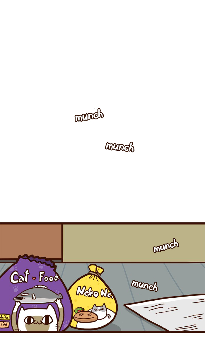 The Salary Man & Tofu the Funny Cat Chapter 16 page 29 - Chapter 16: Cat Food