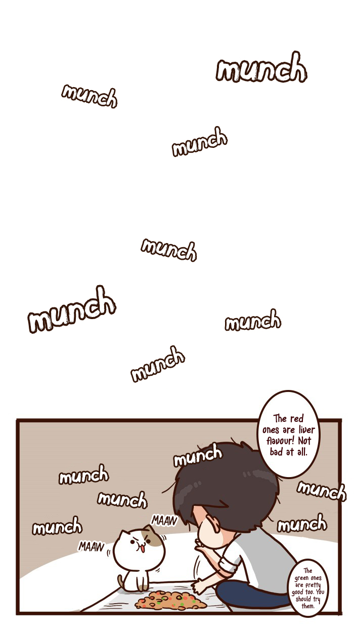 The Salary Man & Tofu the Funny Cat Chapter 16 page 34 - Chapter 16: Cat Food