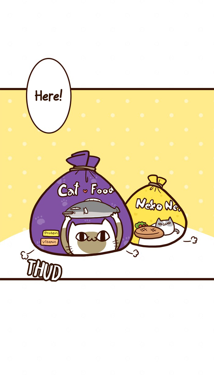 The Salary Man & Tofu the Funny Cat Chapter 16 page 5 - Chapter 16: Cat Food