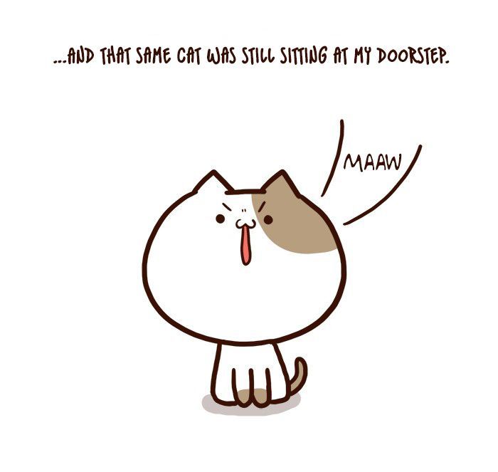 The Salary Man & Tofu the Funny Cat Chapter 2 page 13 - Chapter 2 : Bad Luck