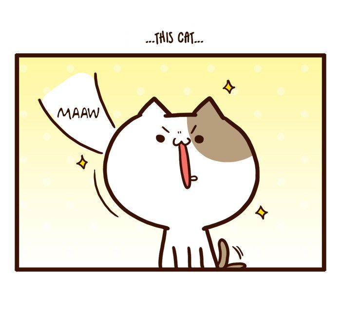 The Salary Man & Tofu the Funny Cat Chapter 2 page 16 - Chapter 2 : Bad Luck