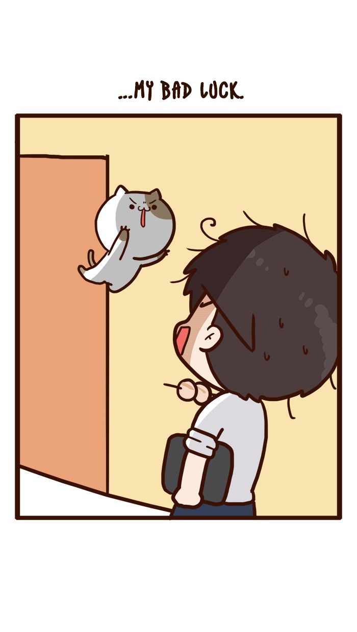 The Salary Man & Tofu the Funny Cat Chapter 2 page 21 - Chapter 2 : Bad Luck