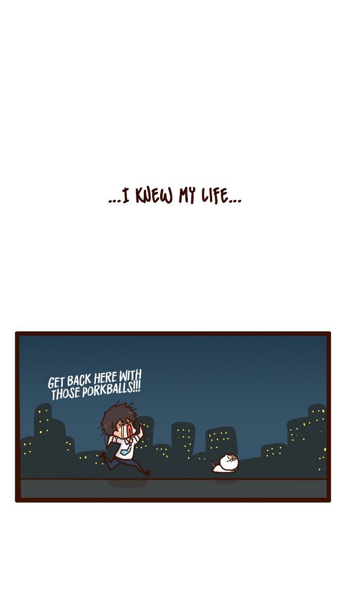 The Salary Man & Tofu the Funny Cat Chapter 2 page 26 - Chapter 2 : Bad Luck