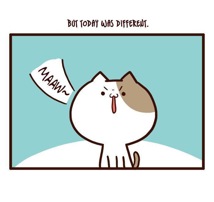 The Salary Man & Tofu the Funny Cat Chapter 2 page 7 - Chapter 2 : Bad Luck