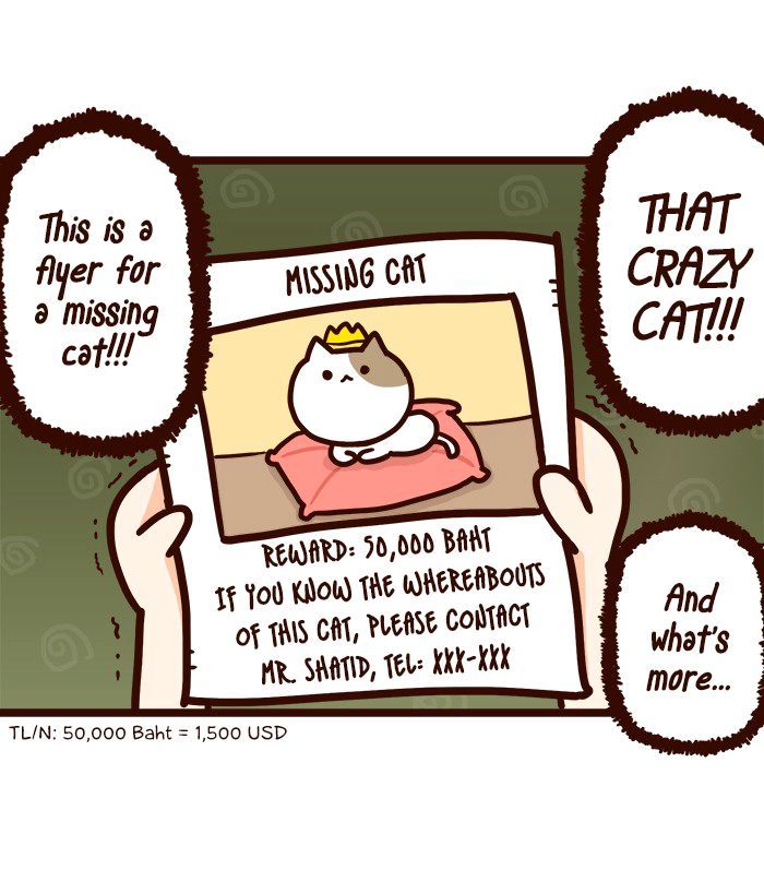 The Salary Man & Tofu the Funny Cat Chapter 5 page 22 - Chapter 5 : Luck On My Side