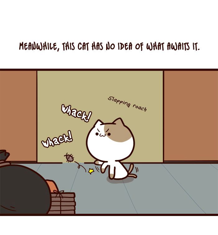 The Salary Man & Tofu the Funny Cat Chapter 5 page 31 - Chapter 5 : Luck On My Side