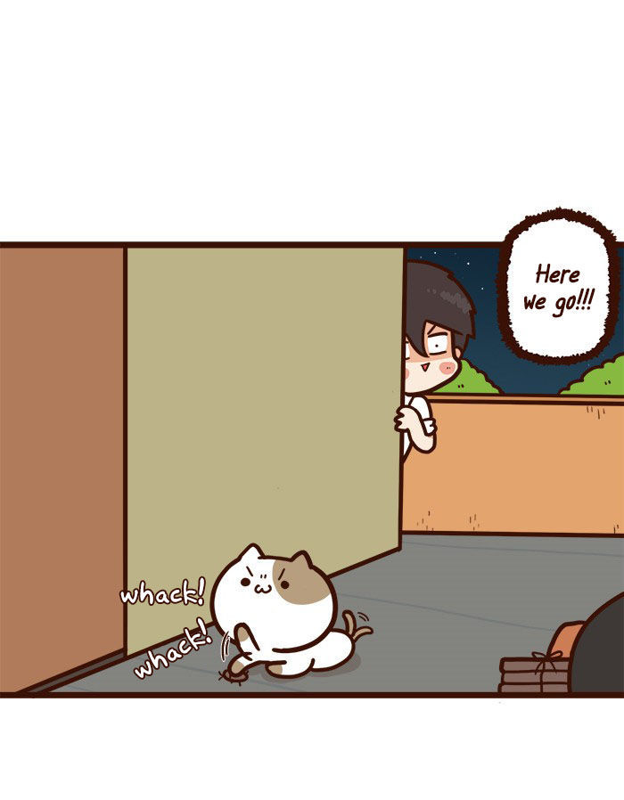 The Salary Man & Tofu the Funny Cat Chapter 6 page 17 - Chapter 6 : The Plan