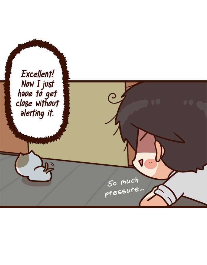 The Salary Man & Tofu the Funny Cat Chapter 6 page 19 - Chapter 6 : The Plan