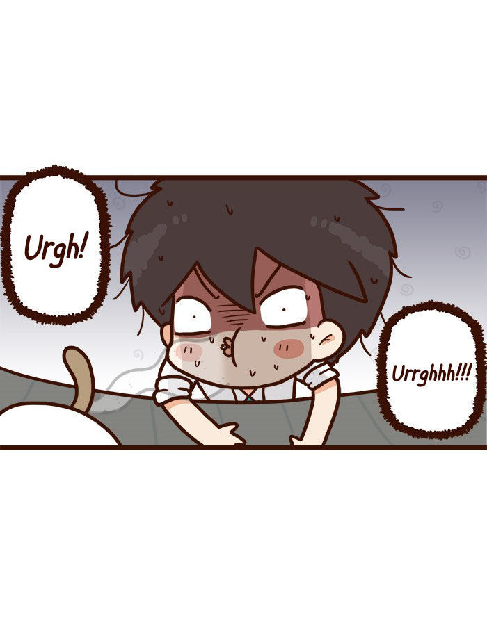 The Salary Man & Tofu the Funny Cat Chapter 6 page 28 - Chapter 6 : The Plan
