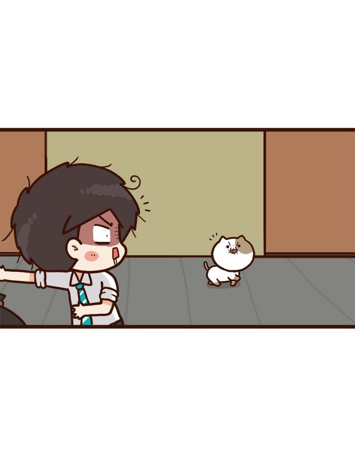 The Salary Man & Tofu the Funny Cat Chapter 6 page 30 - Chapter 6 : The Plan