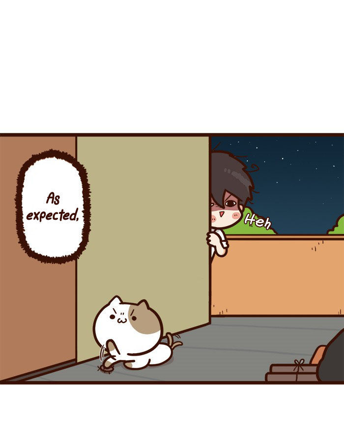 The Salary Man & Tofu the Funny Cat Chapter 6 page 6 - Chapter 6 : The Plan