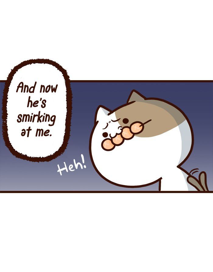 The Salary Man & Tofu the Funny Cat Chapter 7 page 37 - Chapter 7 : Plan B