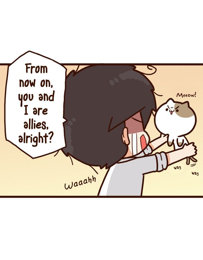 The Salary Man & Tofu the Funny Cat Chapter 7 page 50 - Chapter 7 : Plan B