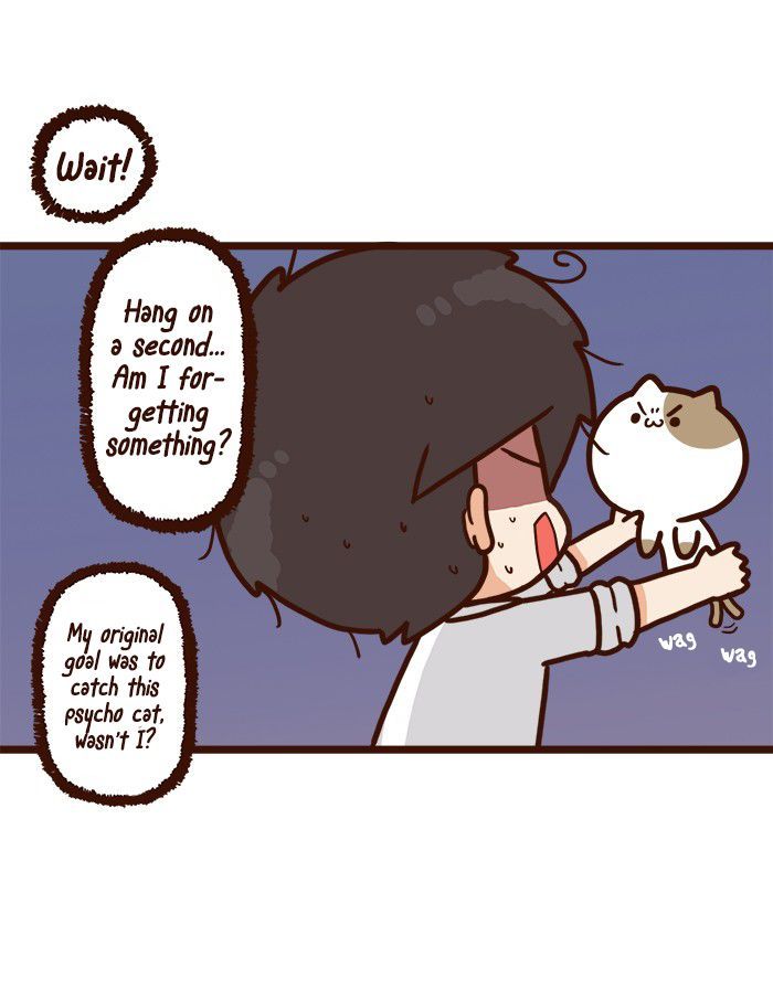 The Salary Man & Tofu the Funny Cat Chapter 7 page 51 - Chapter 7 : Plan B